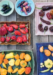 Havana Scotch Bonnet Peppers Image